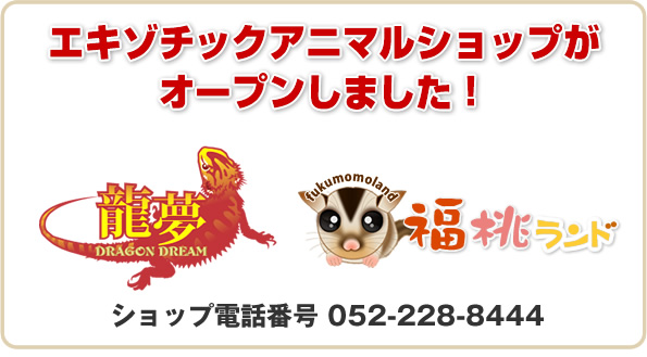 エキゾチックアニマルショップがオープンしました。
